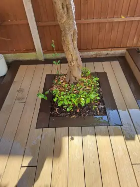 Click Here To Enlarge This Photo Of Composite NeoTimber Decking In Toton