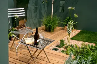 Low-Maintenance Plants For A Nottingham Garden