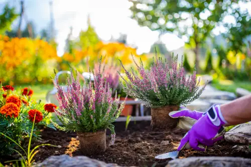 Click Here To Enlarge This Photo Of How To Keep Your Garden Looking Great Through Autumn & Winter
