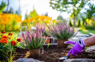 How To Keep Your Garden Looking Great Through Autumn & Winter