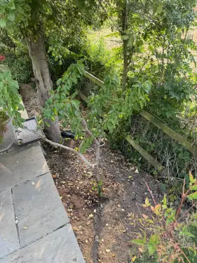 Click Here To Enlarge This Photo Of Oak Sleeper Retaining Walls & Raised Beds in Hazelwood&comma; Derbyshire