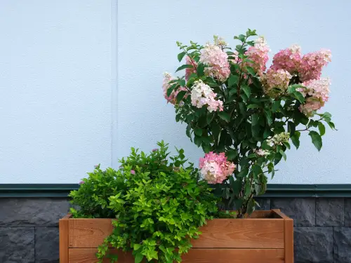 Click Here To Enlarge This Photo Of The Benefits Of Raised Garden Beds