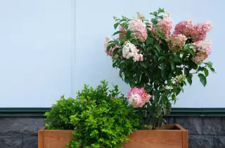 The Benefits Of Raised Garden Beds